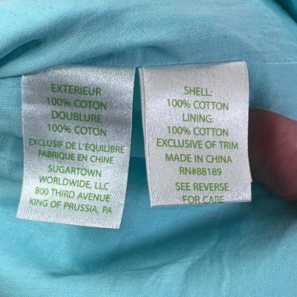 Aqua Sleeveless Dress with Gold Embroidered V-Neck - Picture 8 of 8